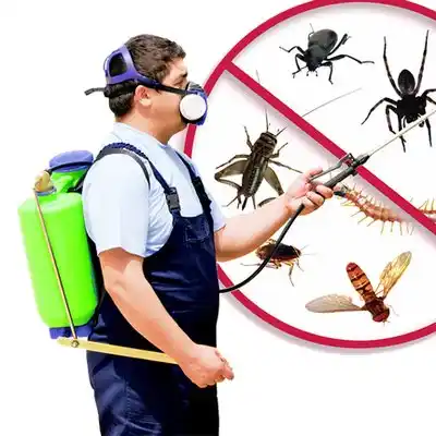 pest control Iron Mountain Lake